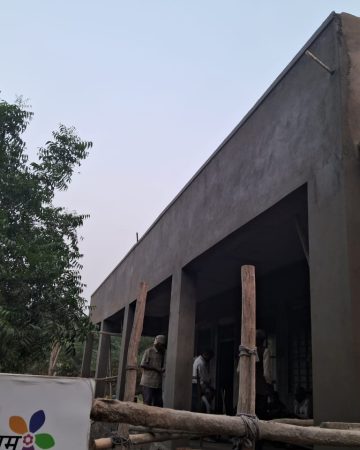 Dandoo plaster work (1)