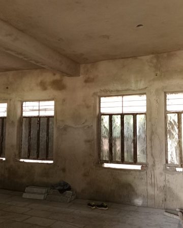 Dandoo plaster work (2)