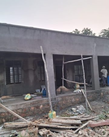 Dandoo plaster work (4)
